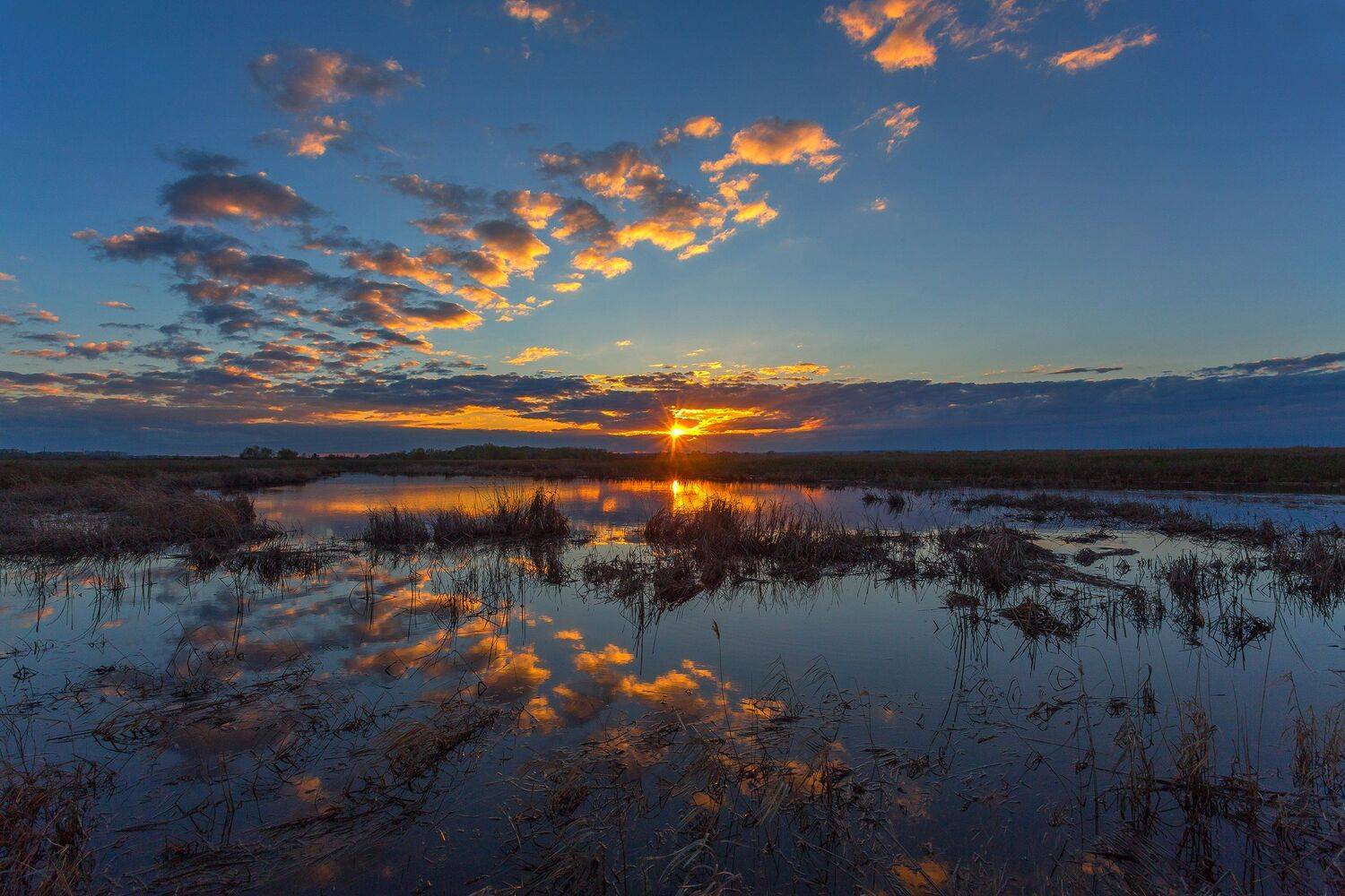 , Павел Сагайдак