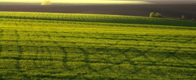 Майские линии... фото превью
