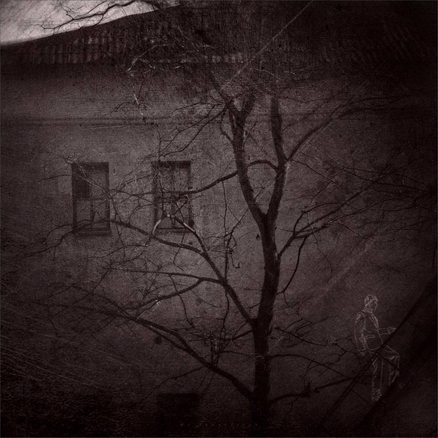 , Владислав Холодков