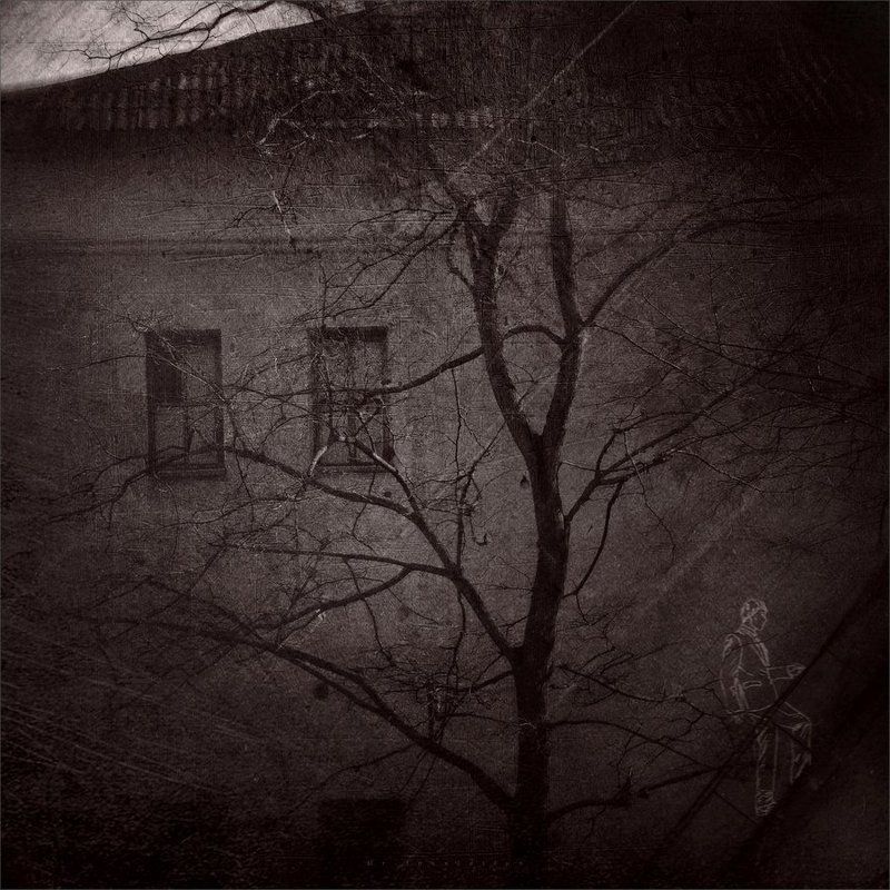 Повесть о ненастоящем человеке фото превью