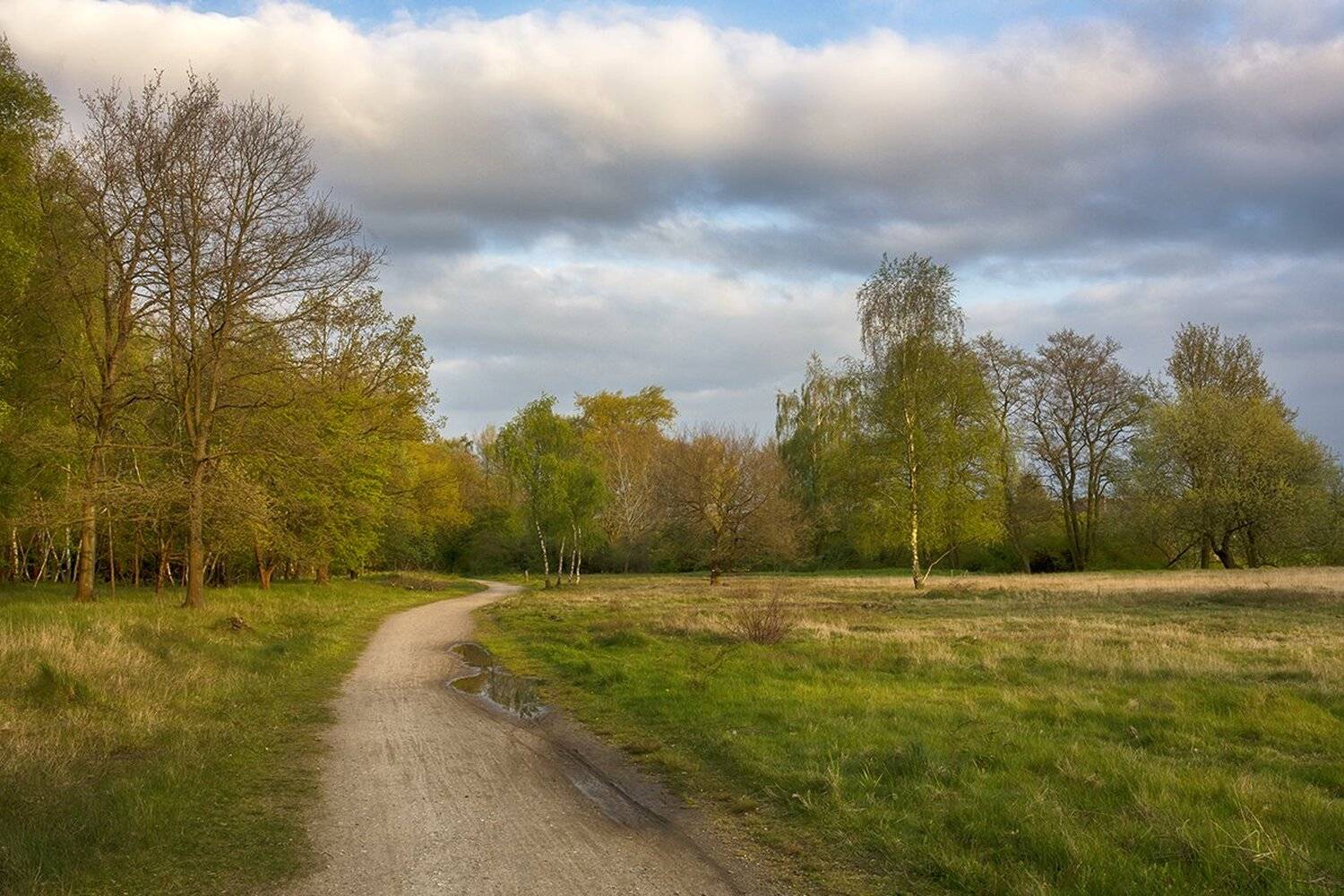 , Игорь Дубровский