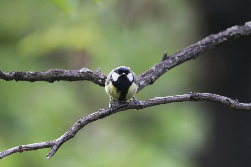 Hard work фото превью