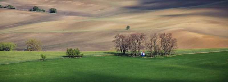 поле весна волны чехия каплица Мистрин фото превью