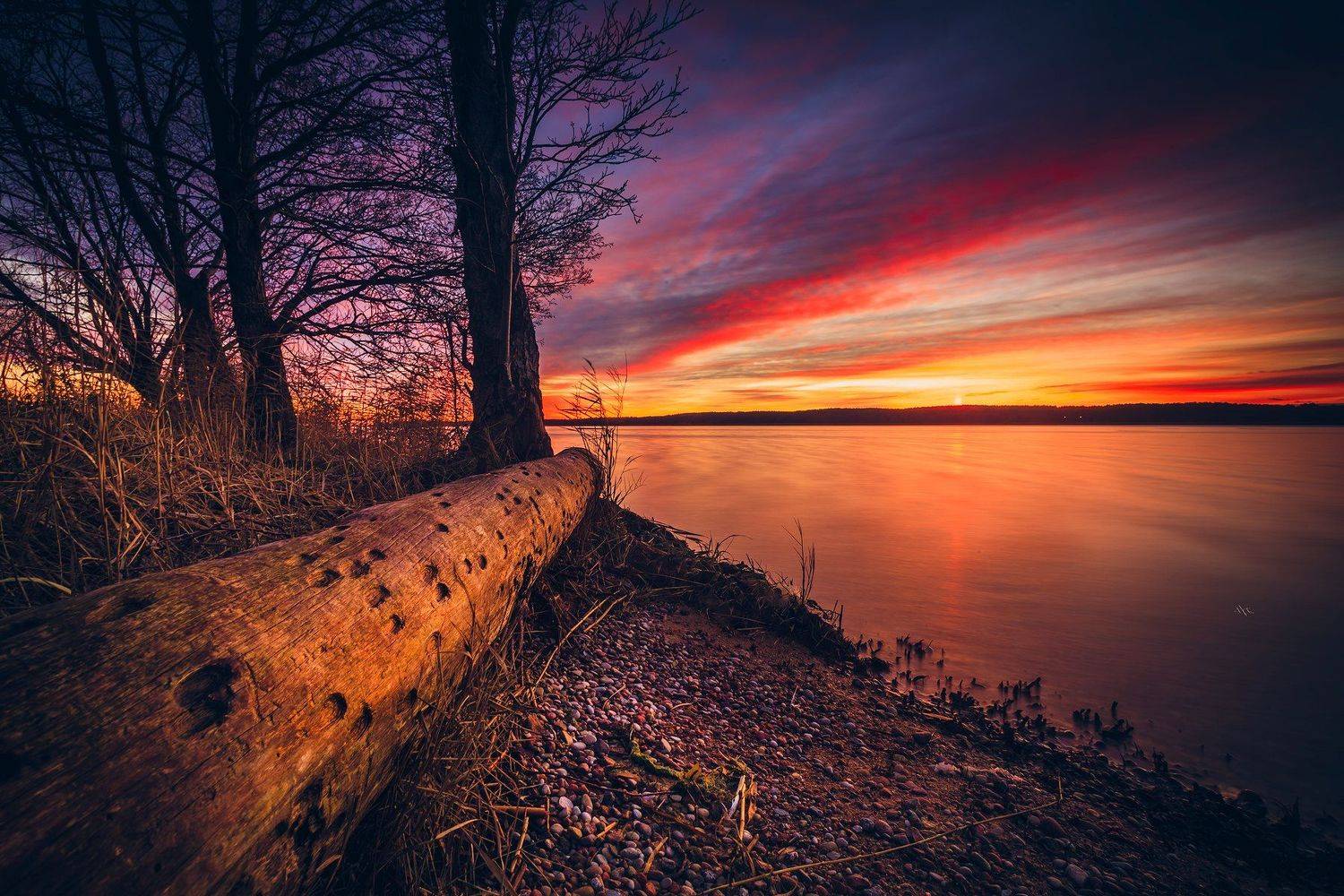lithuania, curonian gulf, sunset, tree, colors, landscape, Руслан Болгов (Axe)