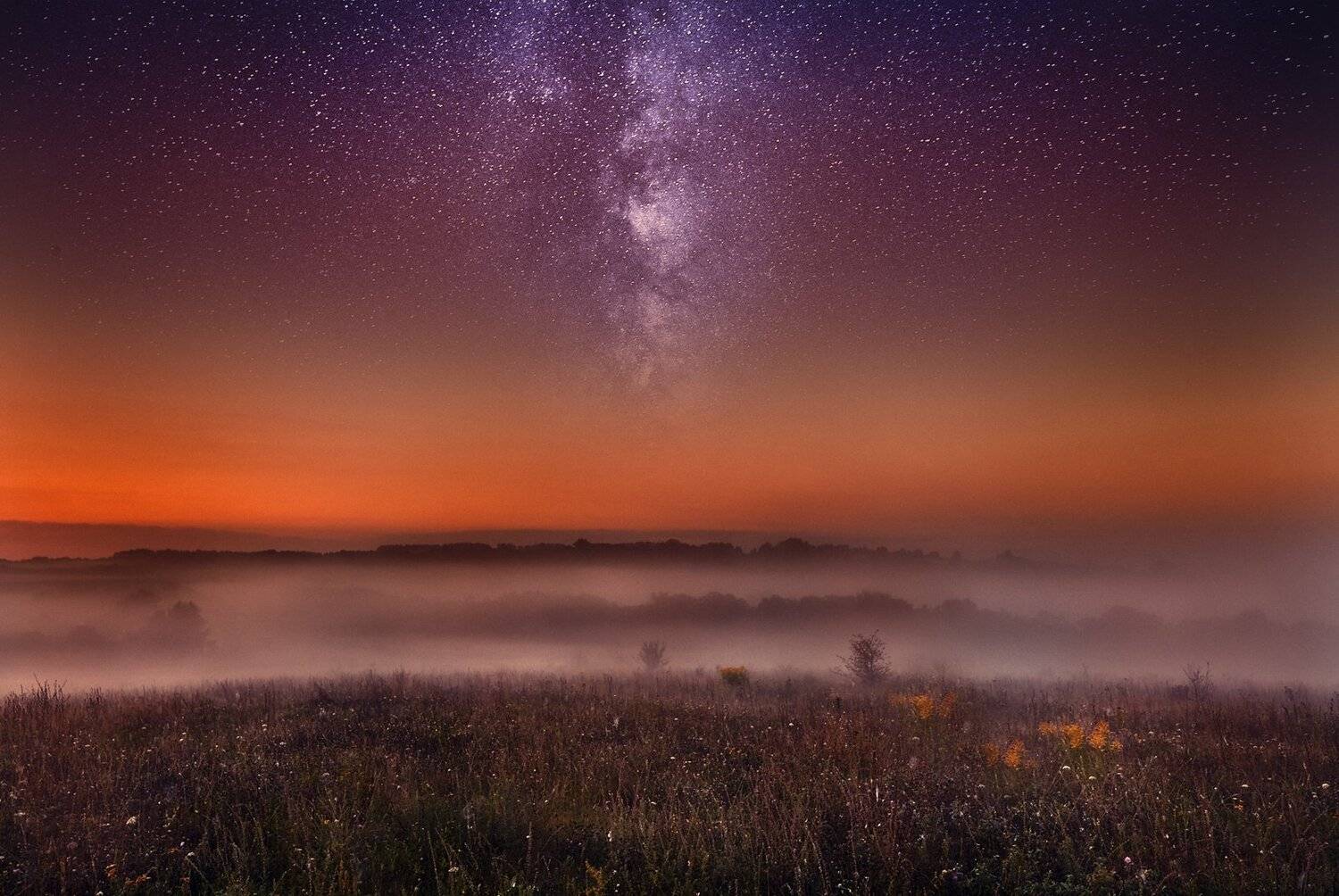 , Каревский Дмитрий