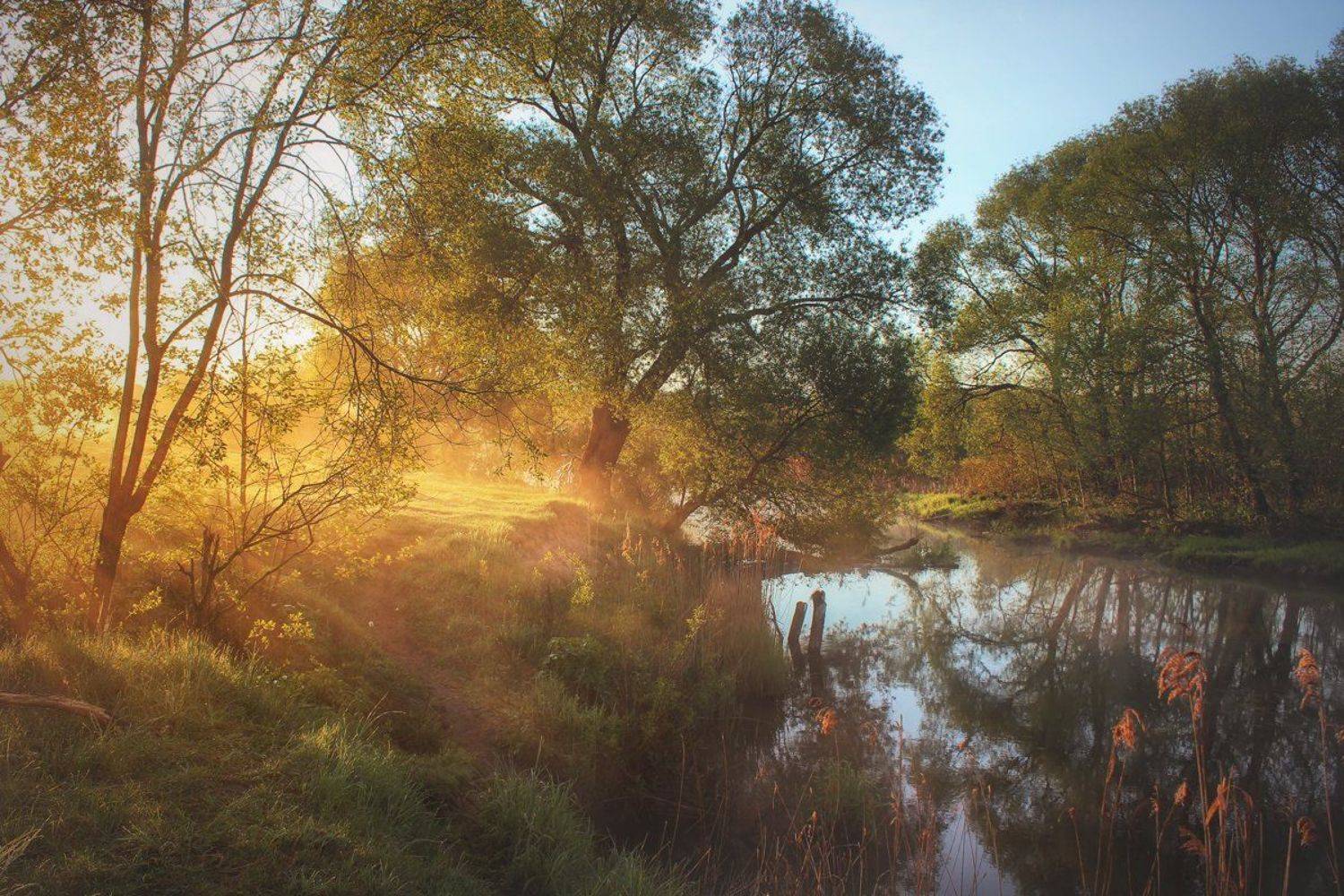 , Игорь Денисов