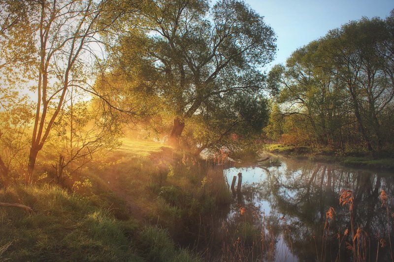 *** фото превью