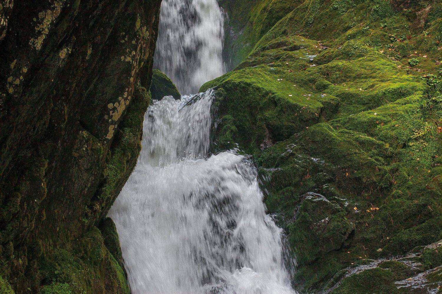 #furslyubov, #фурслюбовь, #весна, #лето, #алтай, #fototipsru, Любовь Фурс