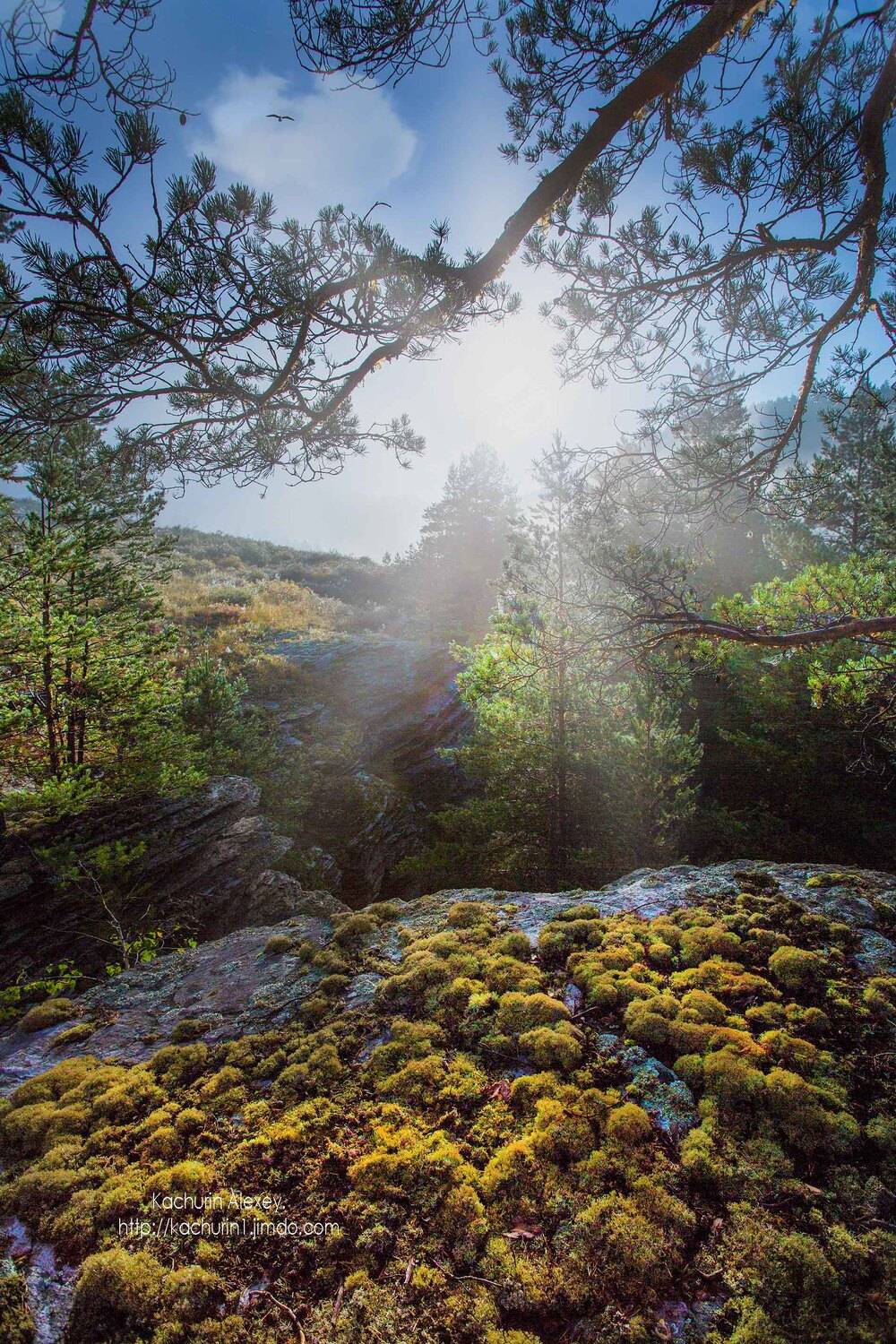 орск оренбургская обл. качурин новотроицк южный урал, Качурин Алексей