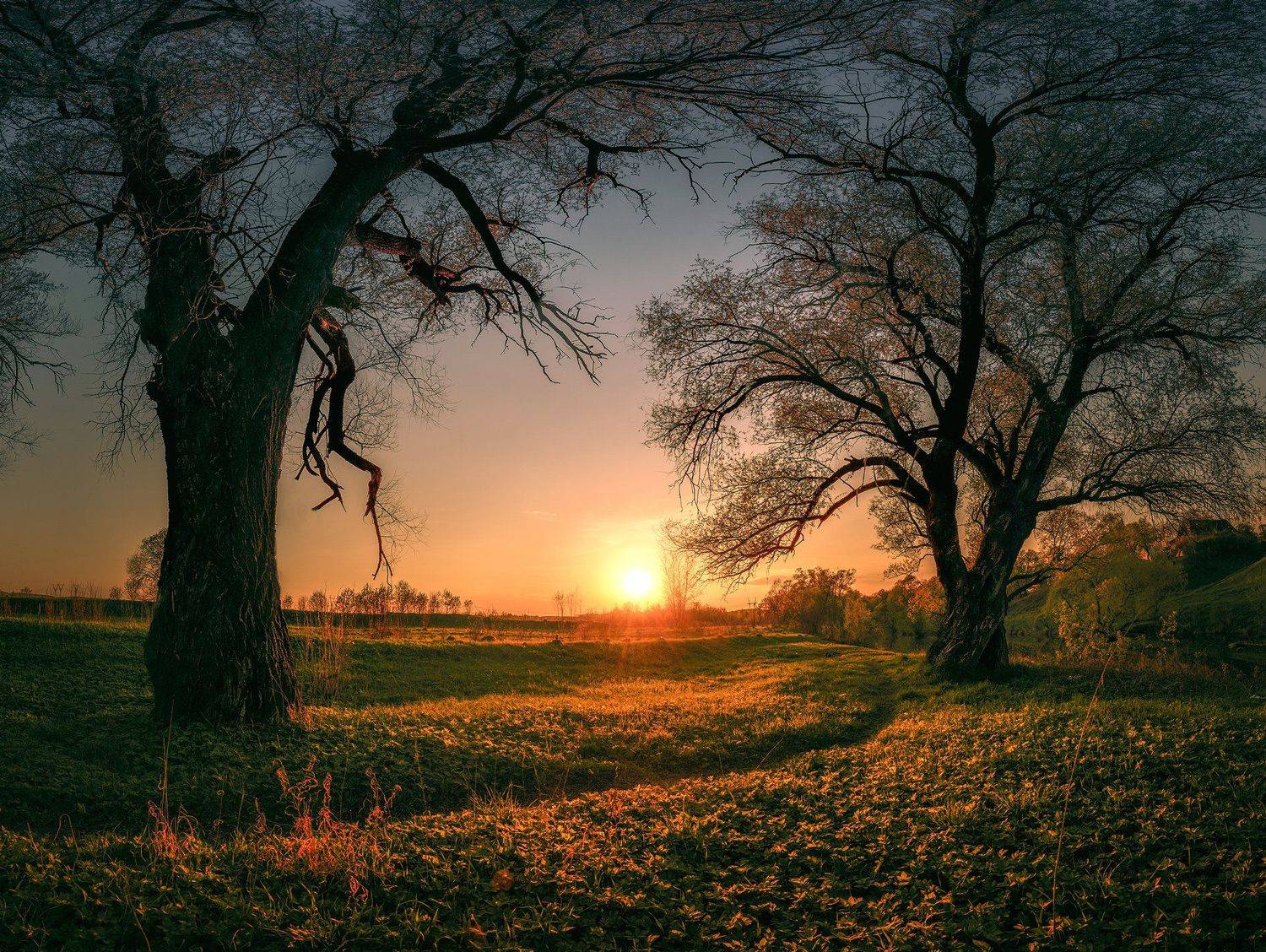 никон,пейзаж, Морозов Юрий