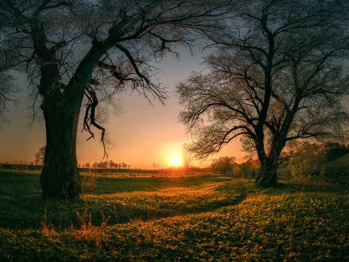 / Весенний вечер... /