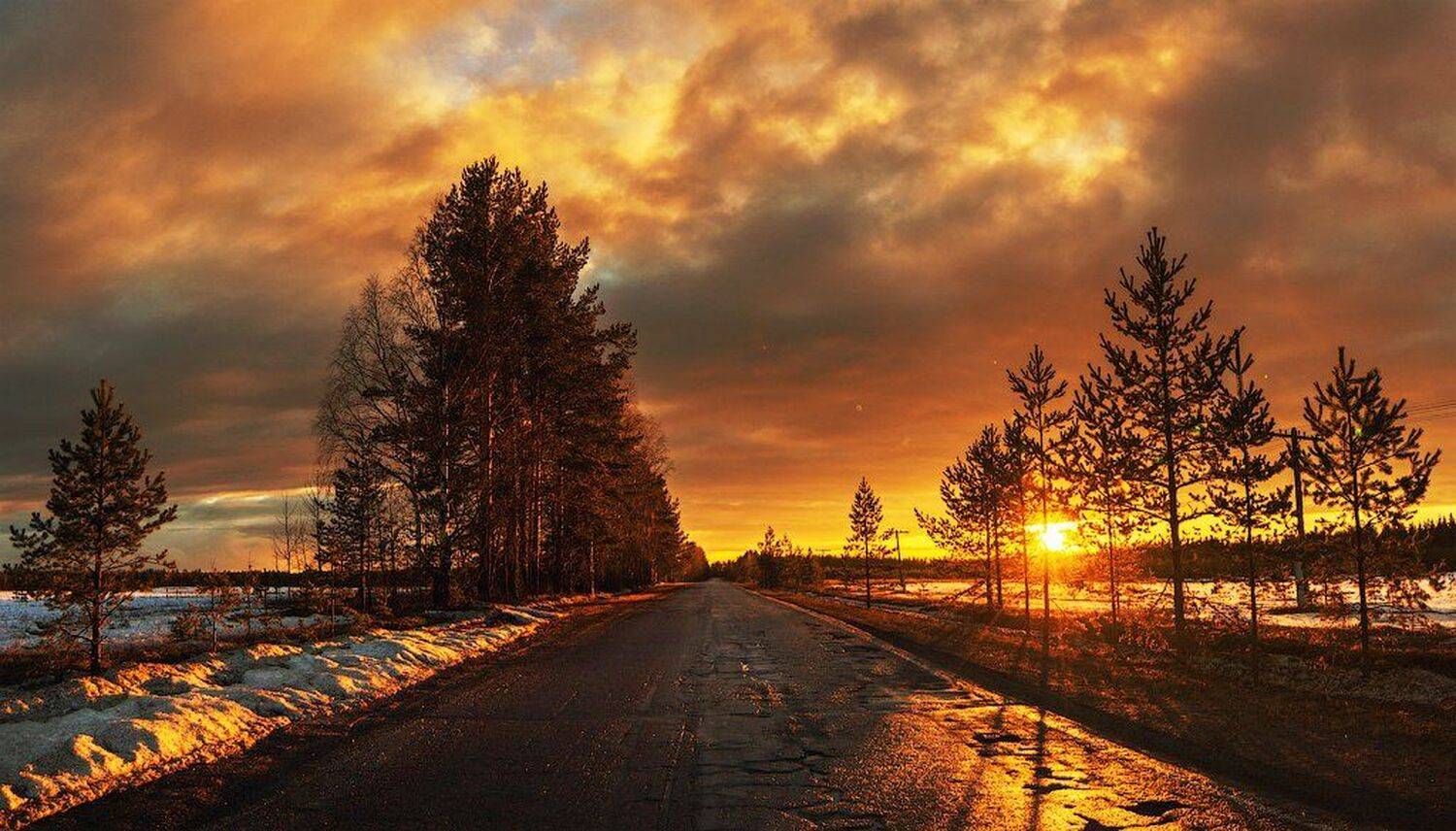 пейзаж,свет,россия,перспектива,дорога,пейзаж,деревья,солнце,небо,панорама, Виталий Истомин