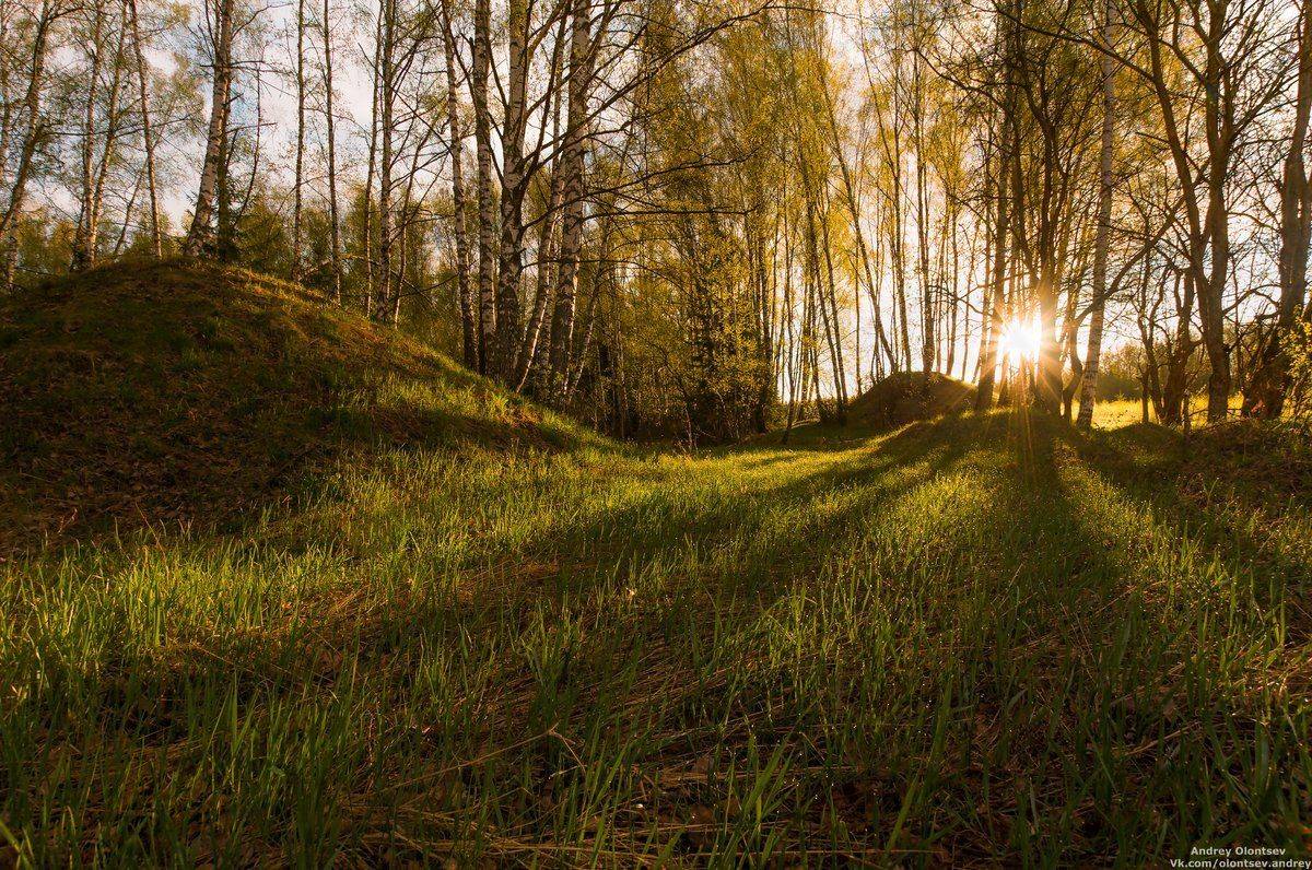 рассвет, природа, пейзаж, дубна, Андрей Олонцев