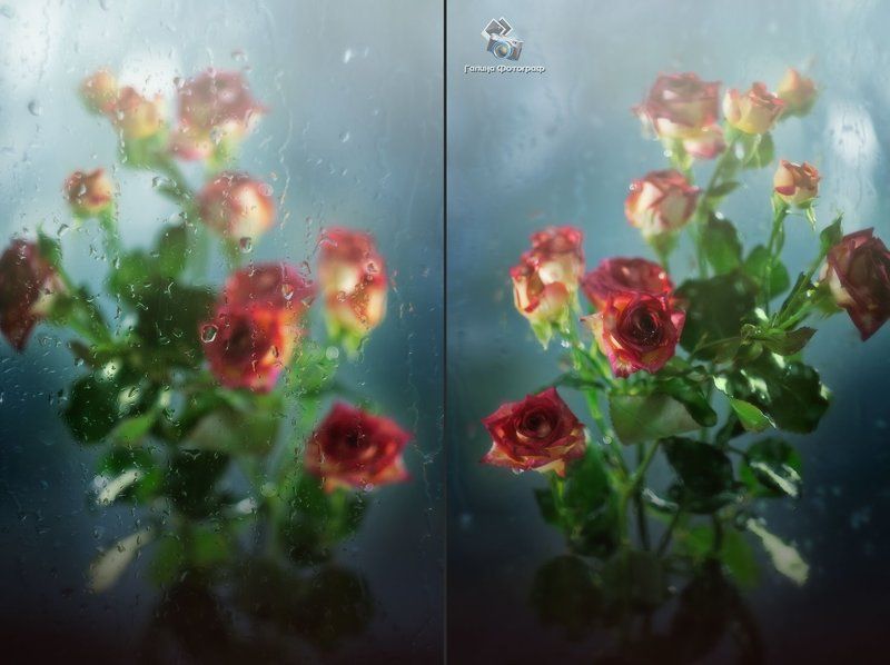 цветы, розы, ландыши, букет, мелкоцвет, ветка, ваза, май, весна, весенние цветы, капли, дождь, гелиос 44-2 58 мм, советская оптика Цветы фото превью