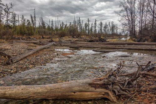 старое русло
