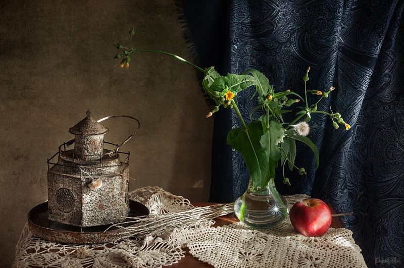 sol фото превью