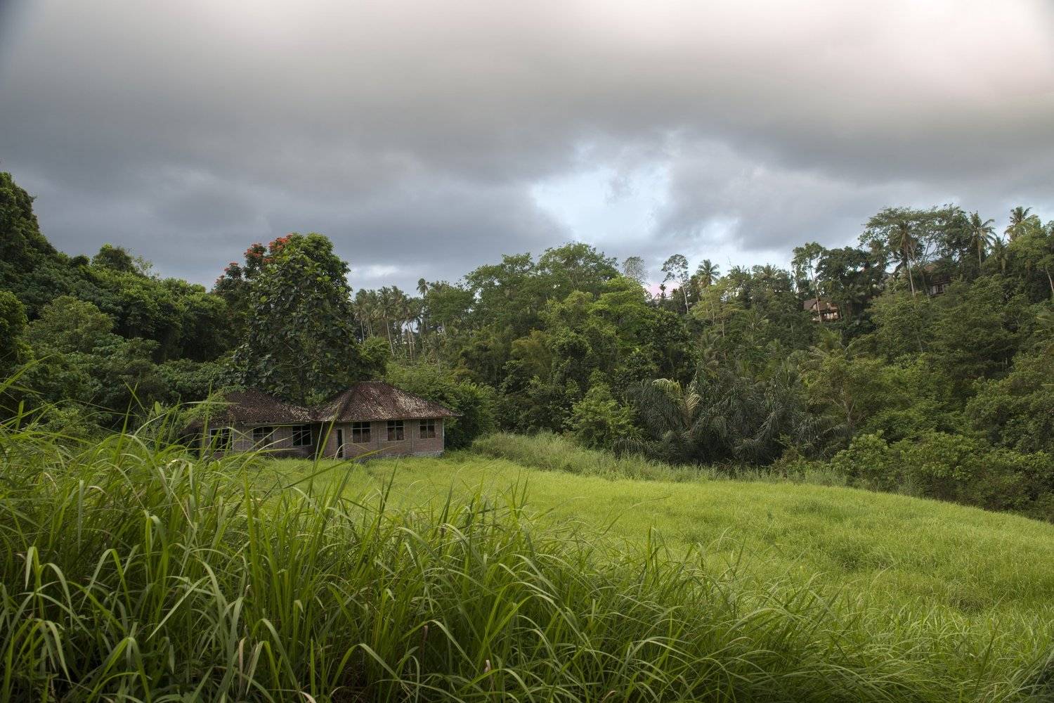 , Марина Мудрова