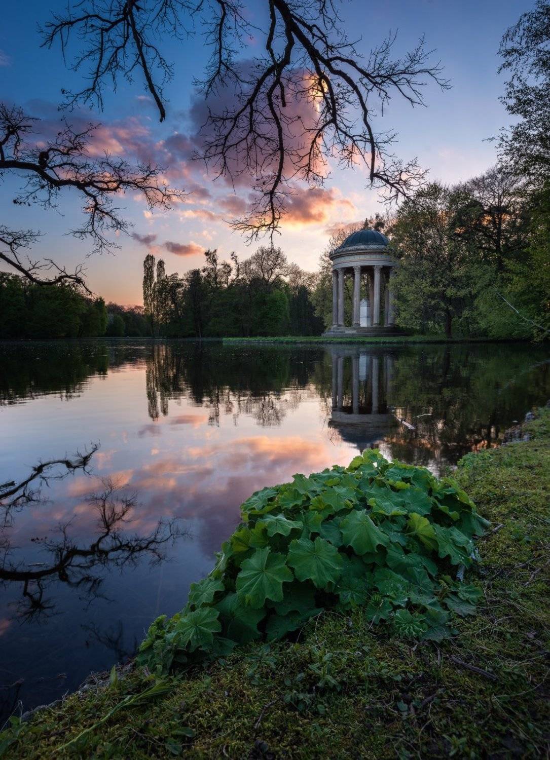 , Синкальський Тарас