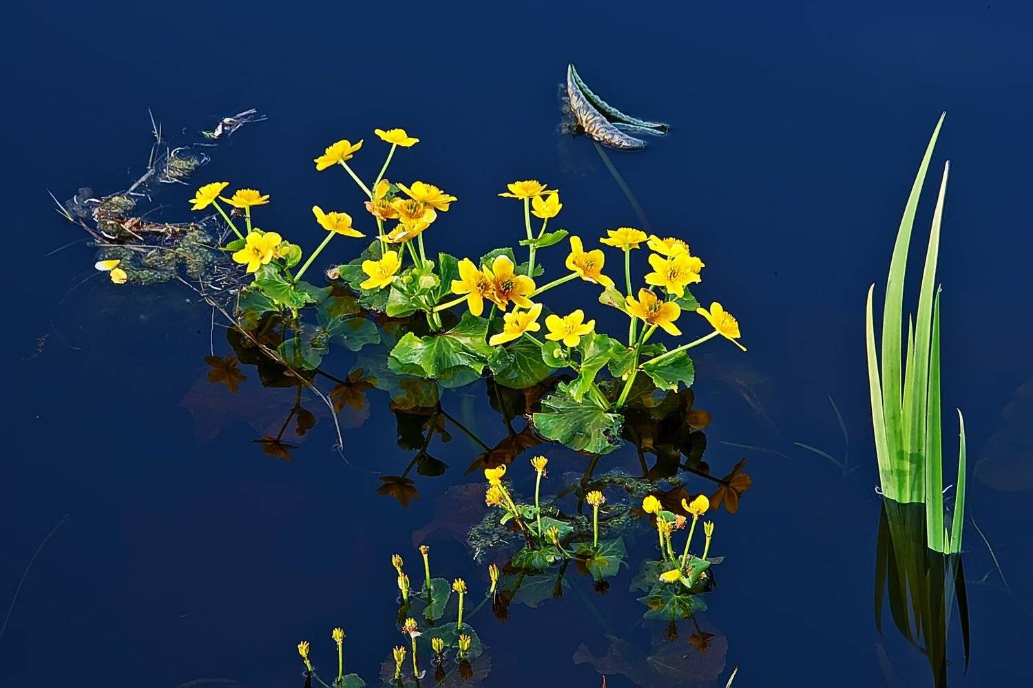 , Валерий Кондратов