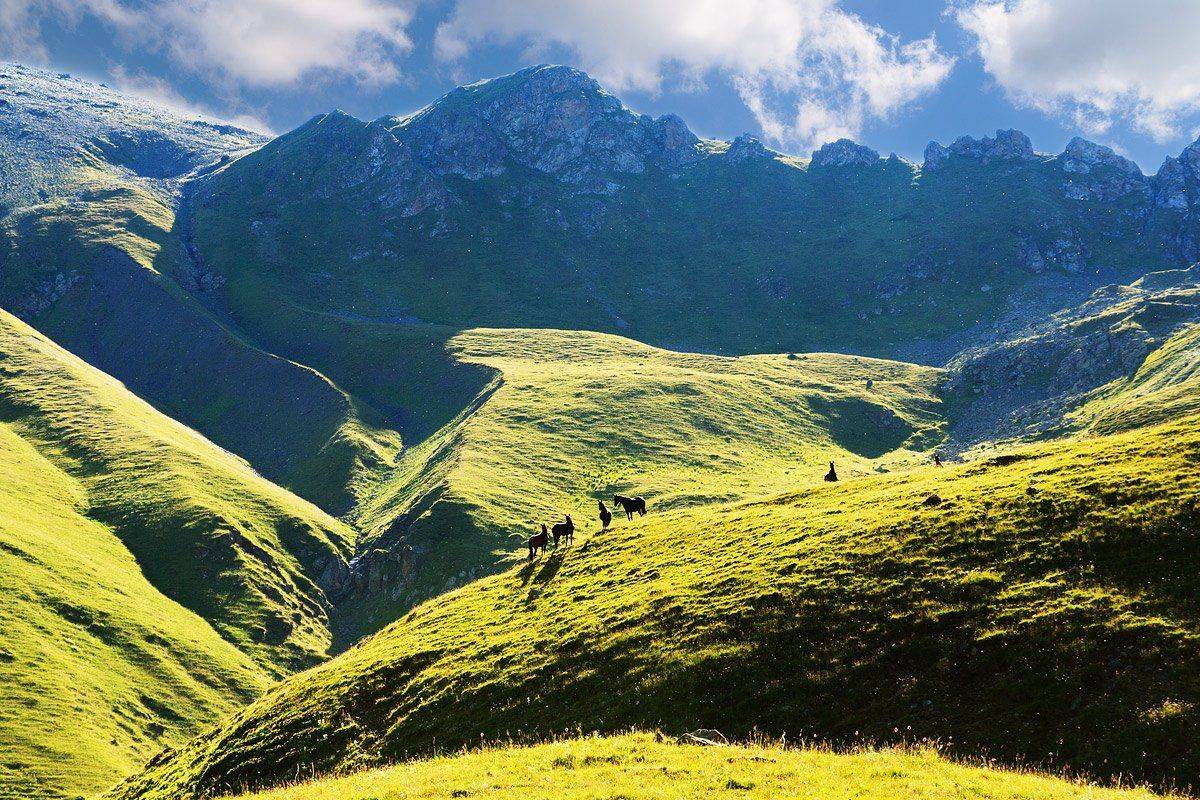 , Виталий Ра