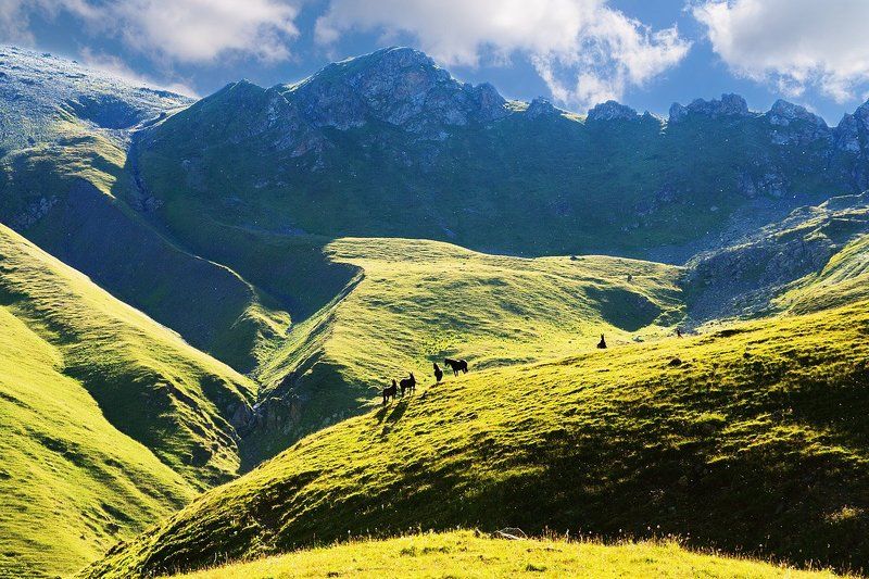 Дух свободи фото превью