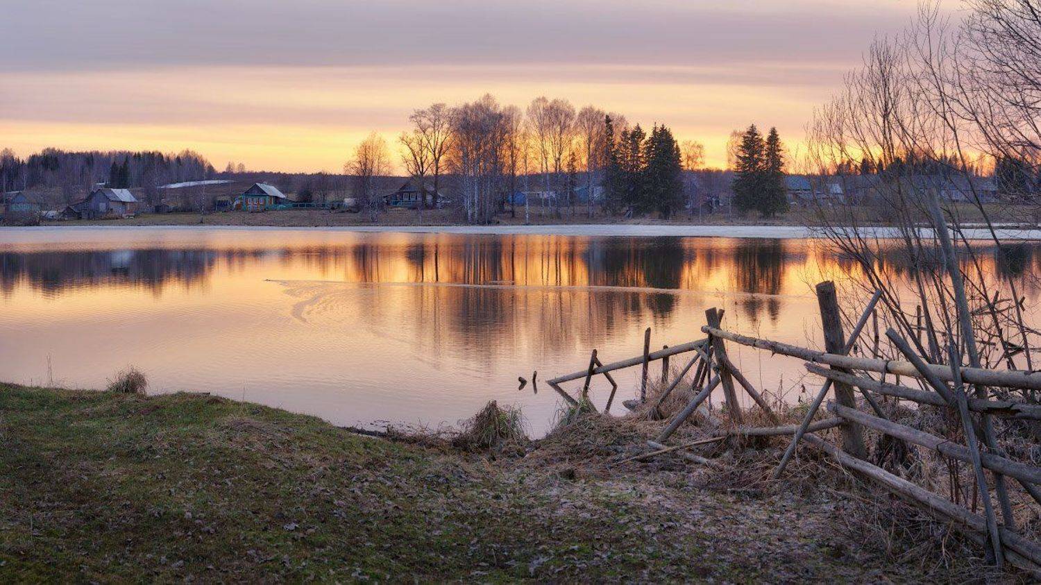 , Дмитрий Медянцев