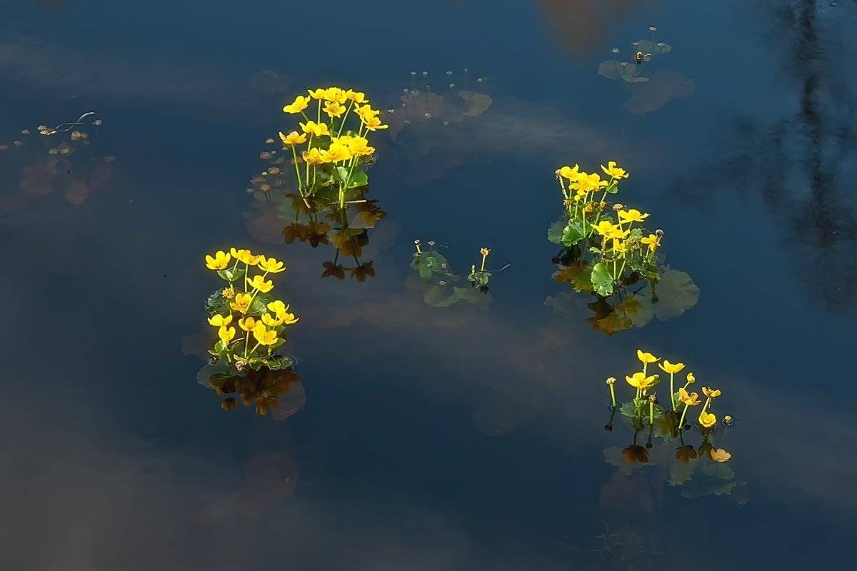 , Валерий Кондратов