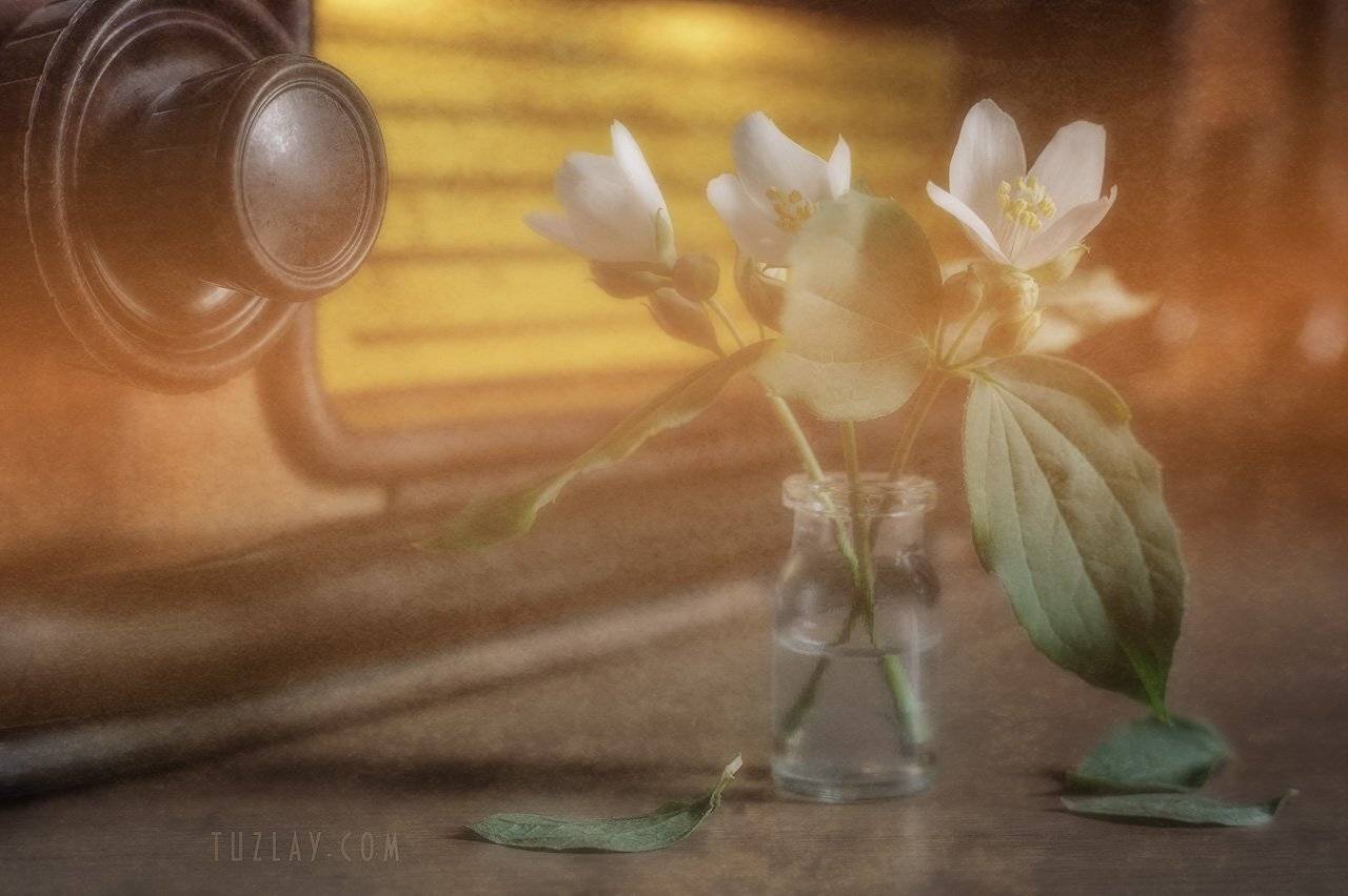 весна, пузырек, радиоприемник, Владимир Тузлай