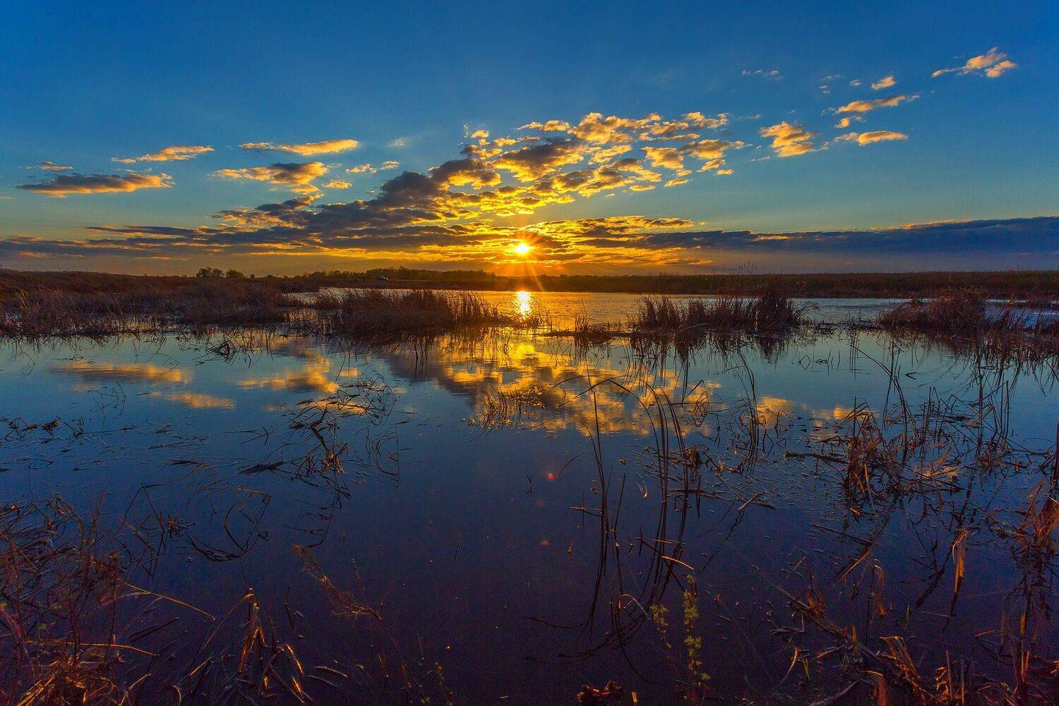 , Павел Сагайдак