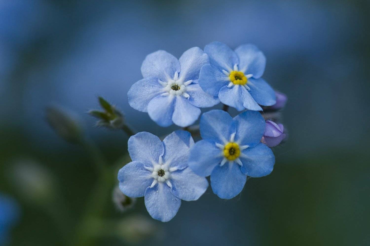 , Сергей Фатин