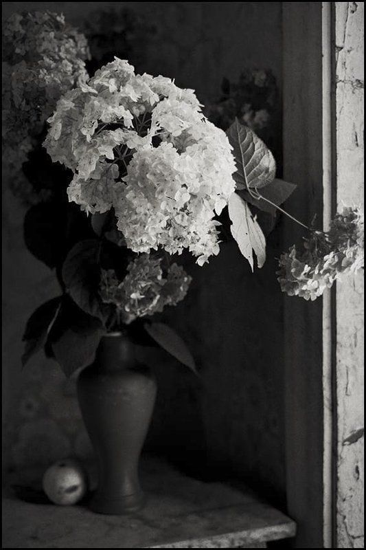 Натюрморт с зеленым яблоком фото превью