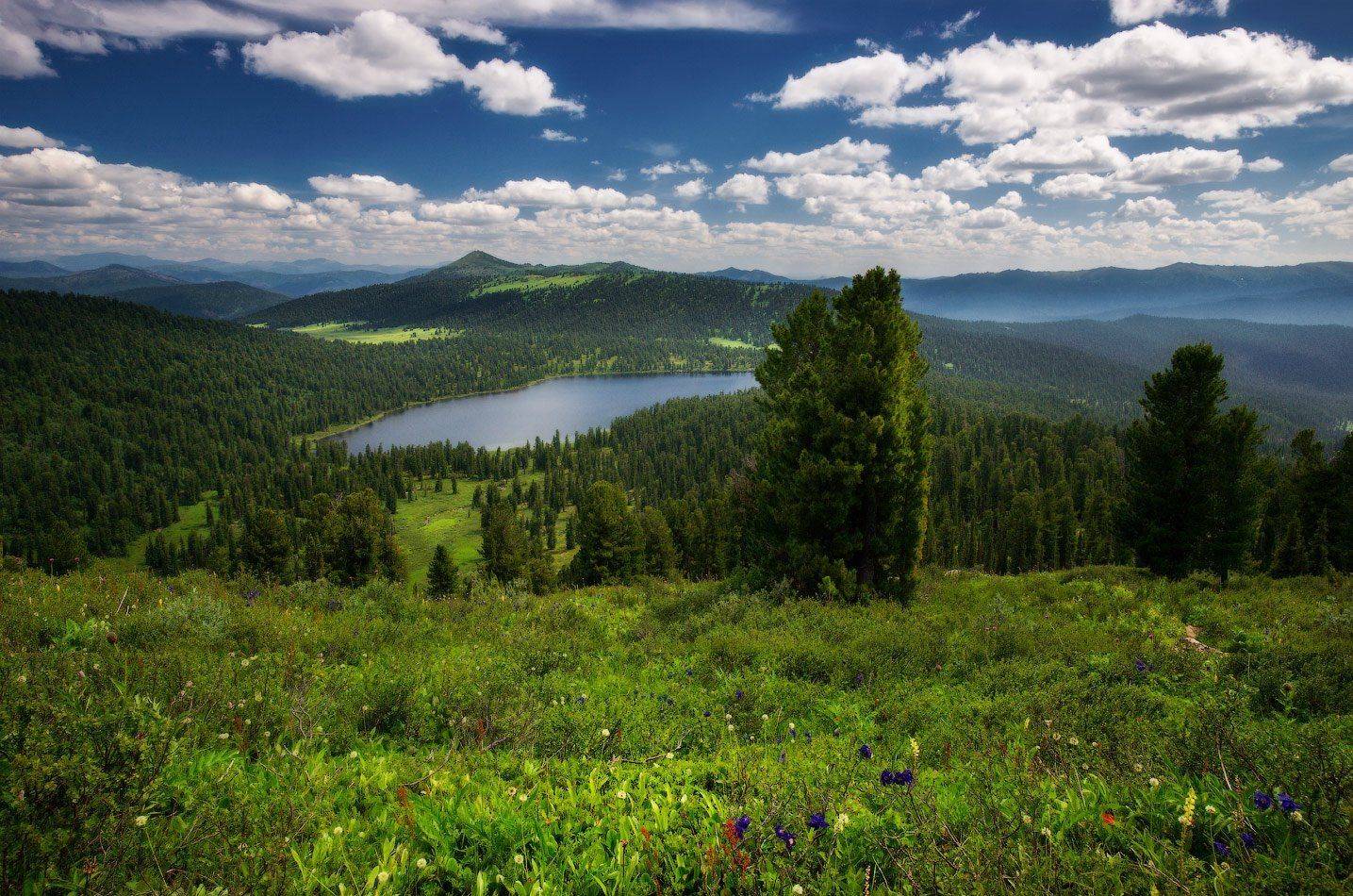 ергаки, горы, саяны, лето, сибирь, светлое, Владимир Ляпин