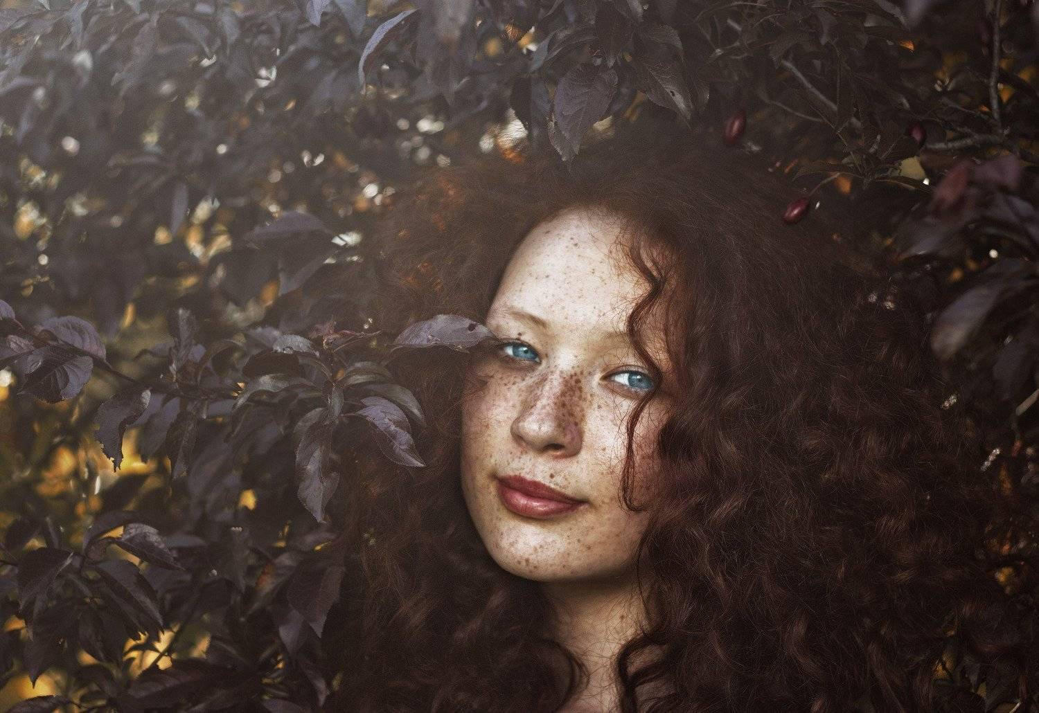 , Инна Донцова