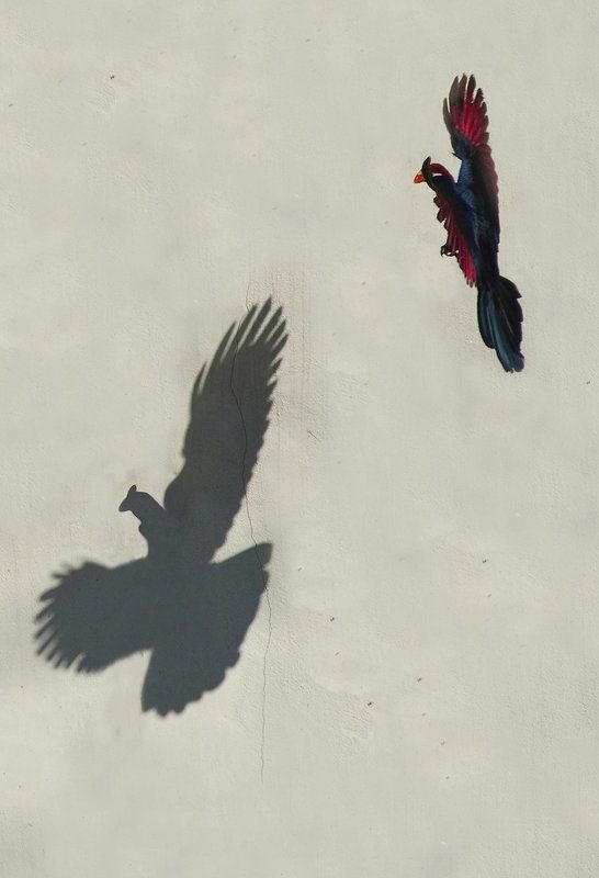 Untitled#*1 фото превью