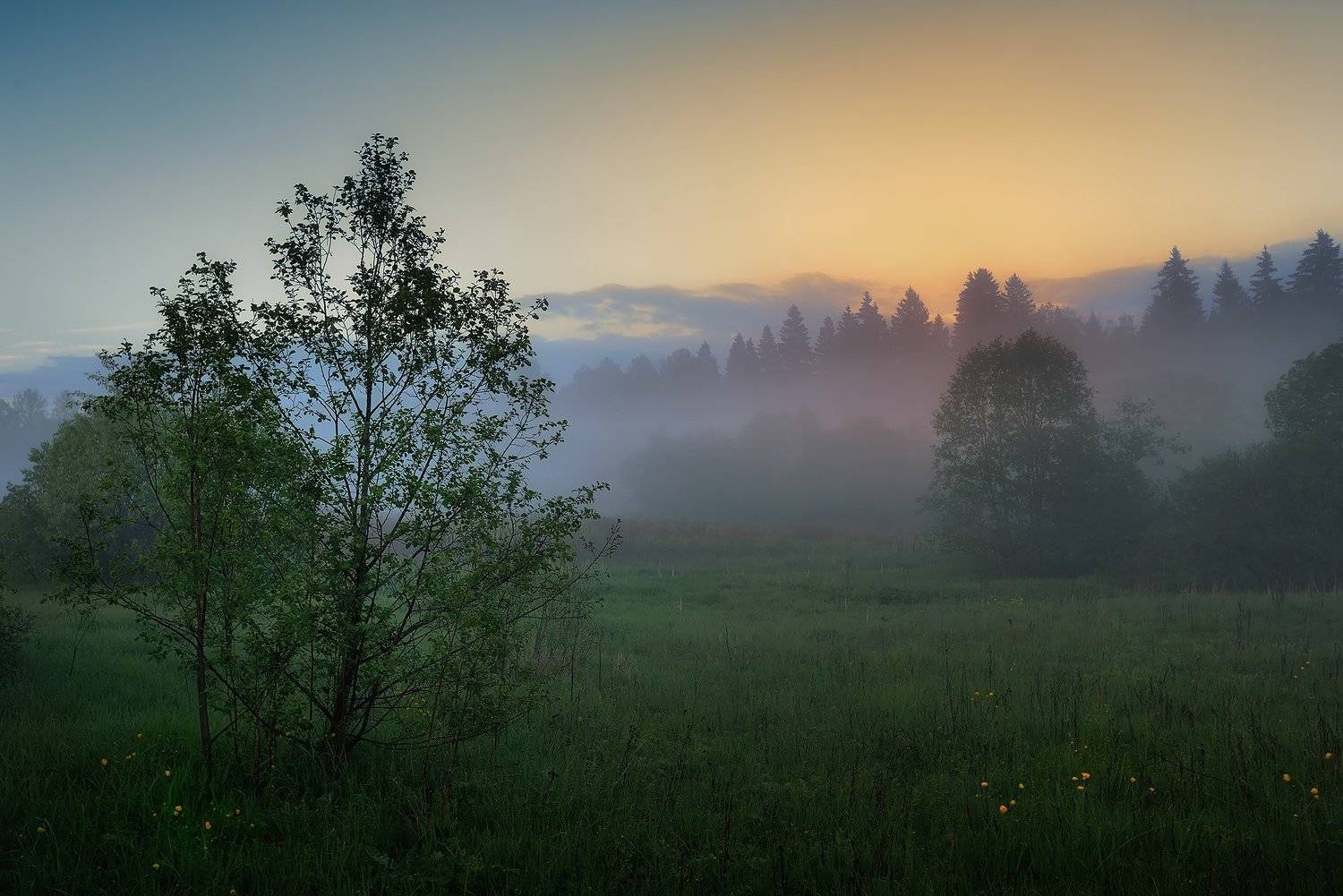 , Алексей Никонов