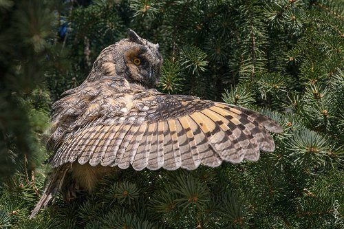 туда не ходи, сюда ходи