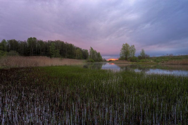 весна,небо  фото превью