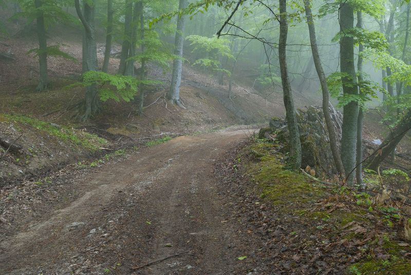 По Романовской дороге.... фото превью