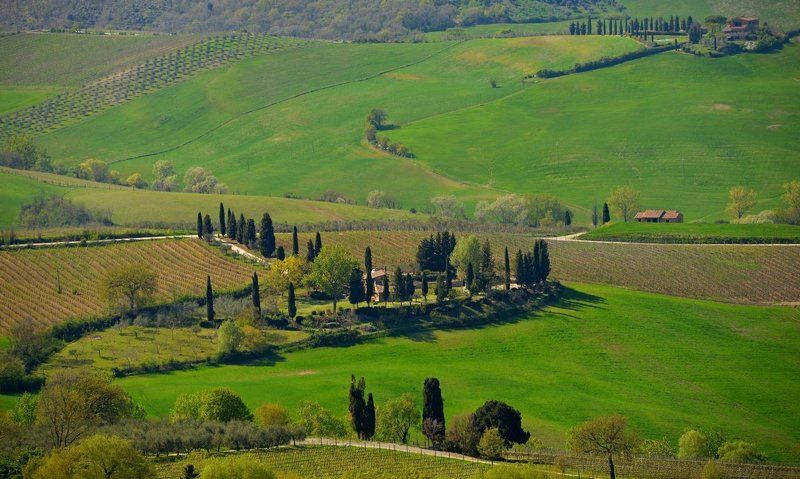 Тоскана, Италия Тоскана, Италия фото превью