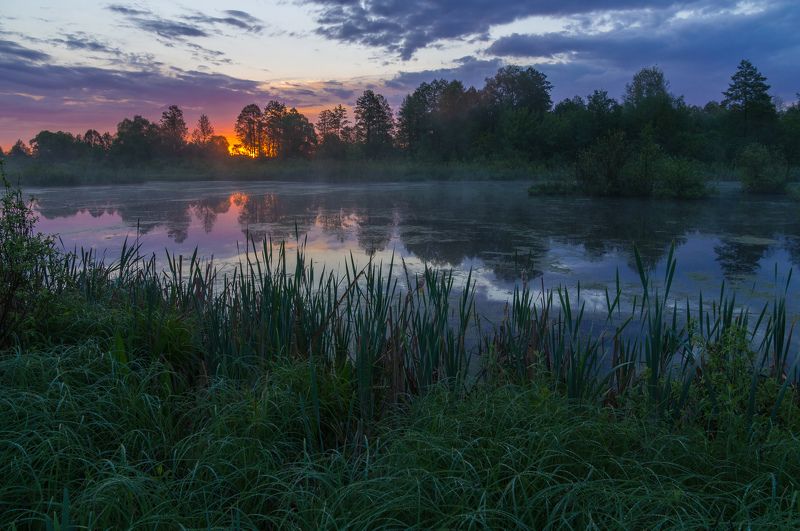 рассвет,утро,озеро,роса,природа,nature,landscape,sunrise,summer Рассвет на болоте фото превью