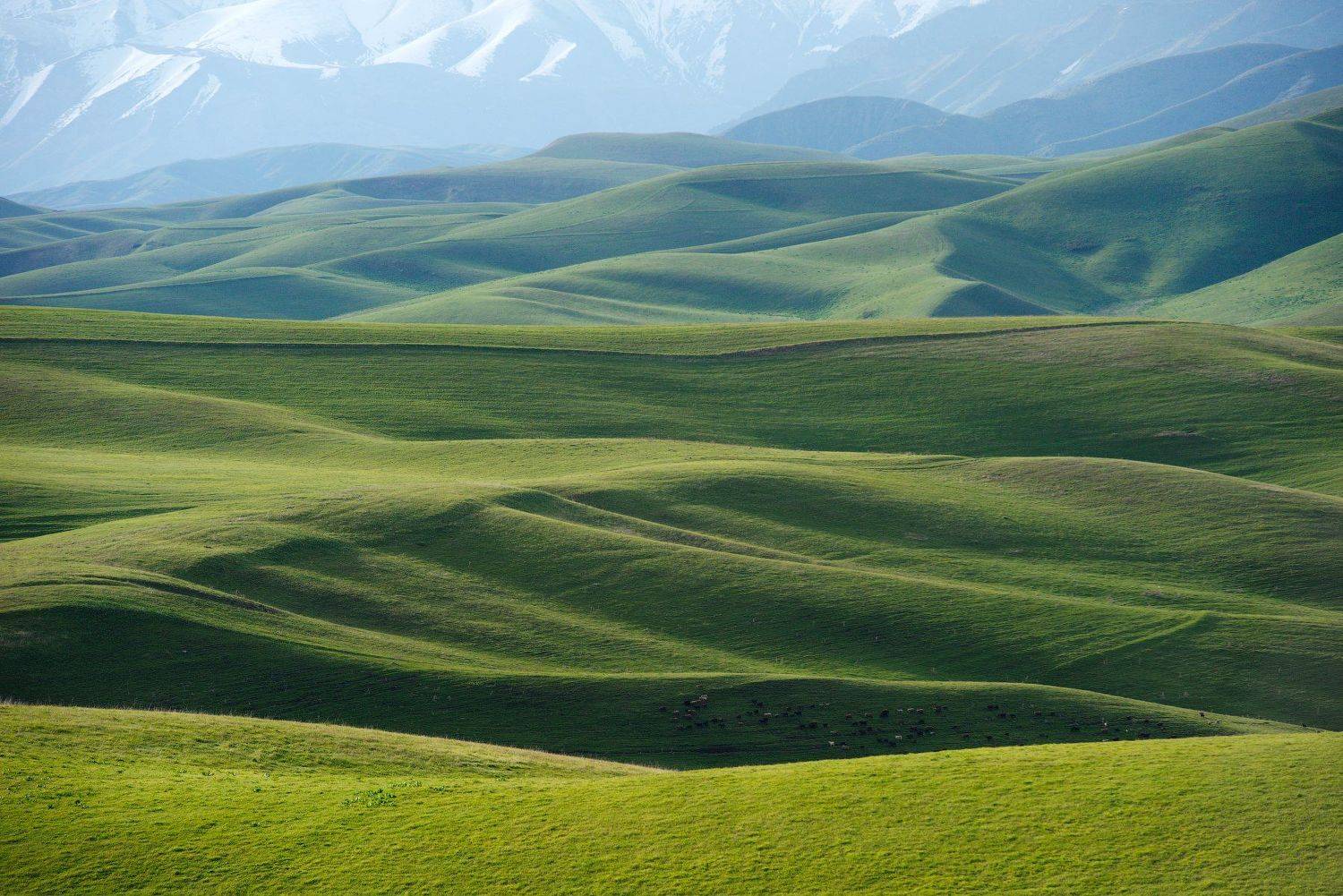 , Сергей Ершов