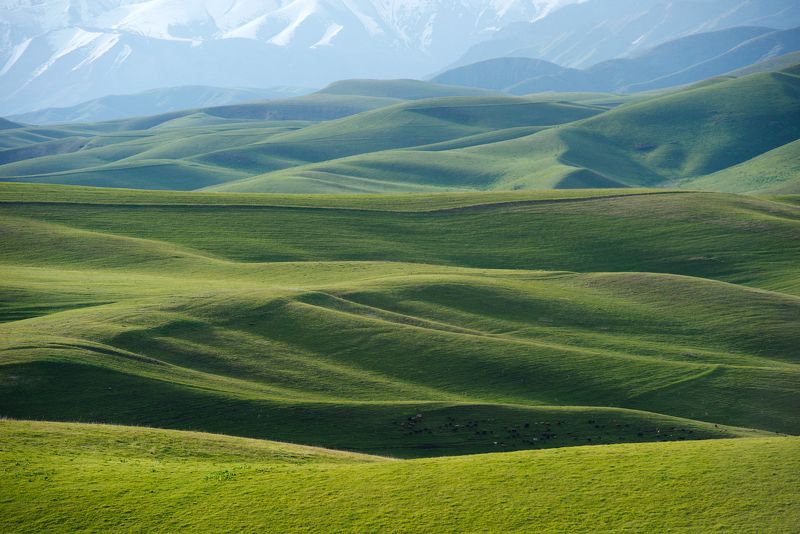 На холмах у Бишкека фото превью