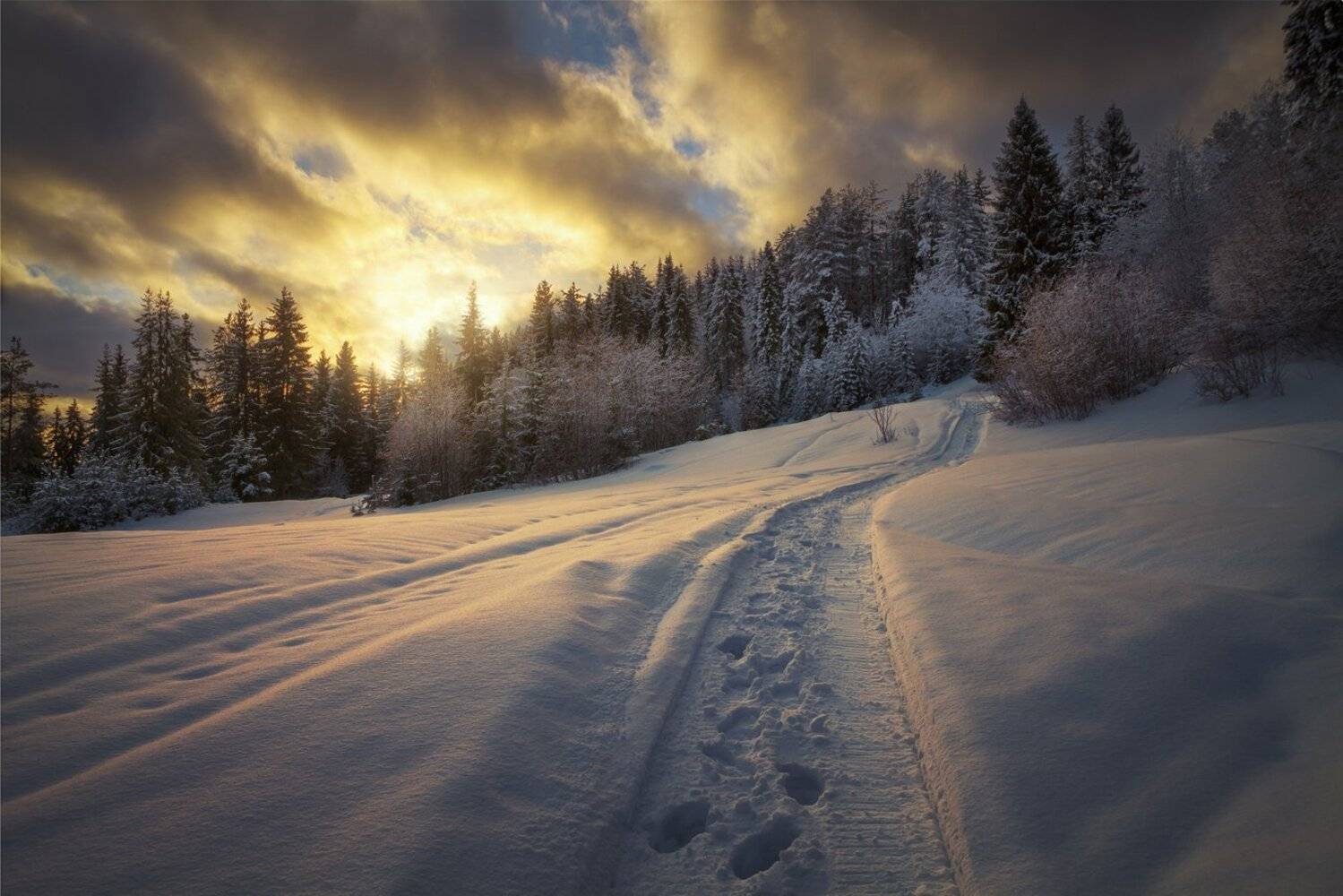 зима, закат, вечер, снег, след. лес, склон, Смольский Евгений