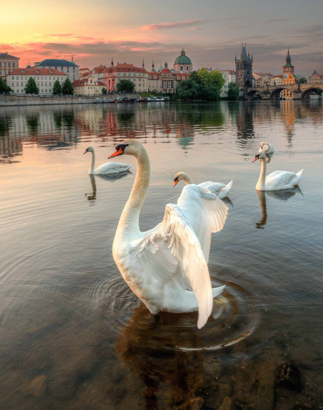 , Александр Атоян