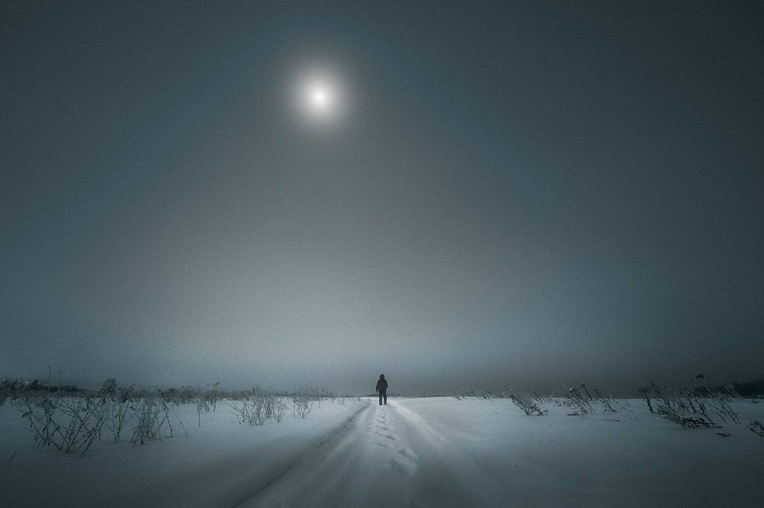 луна зима тула, Каревский Дмитрий