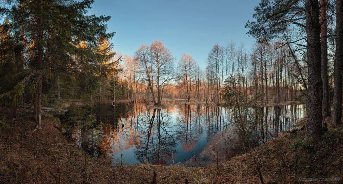 , Хохряков Николай