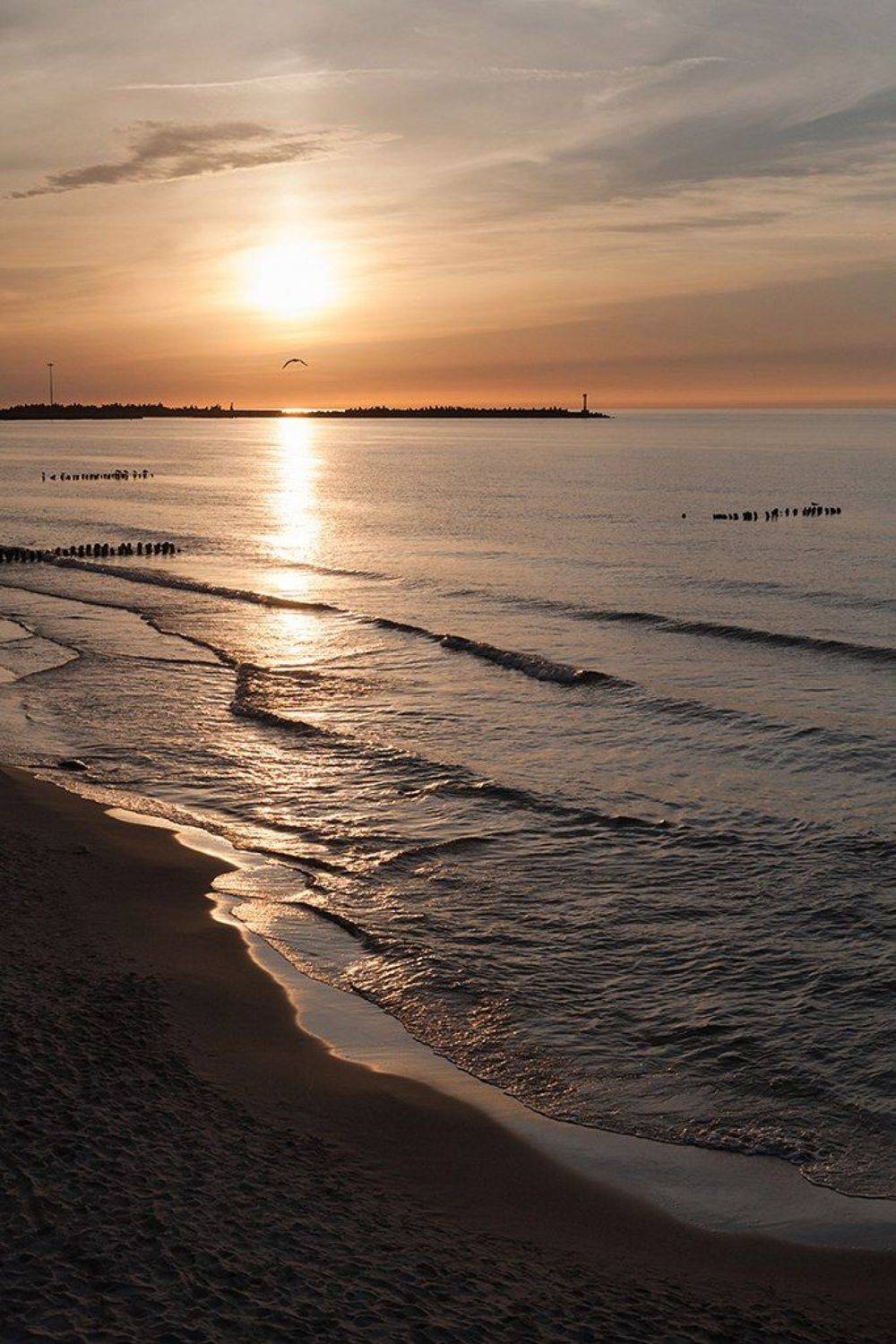 пионерский, балтийское море, калининграсдкая область, Алексей Шамашов