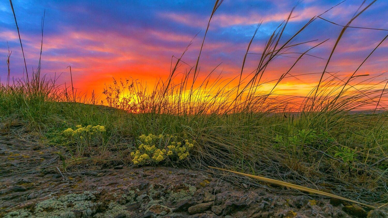 , Павел Сагайдак