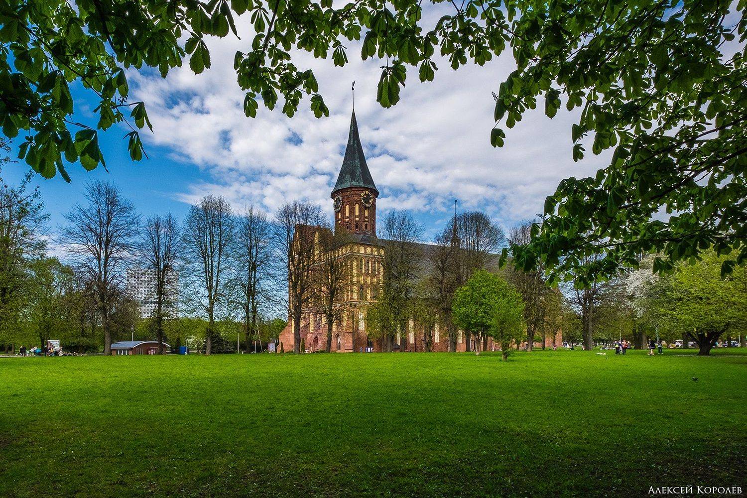 калининград, россия, собор, весна, город, архитектура, kaliningrad, russia, cathedral, spring, city, architecture, Алексей Королёв