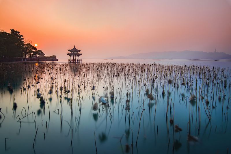 Jixian Pagoda with winter lotus
